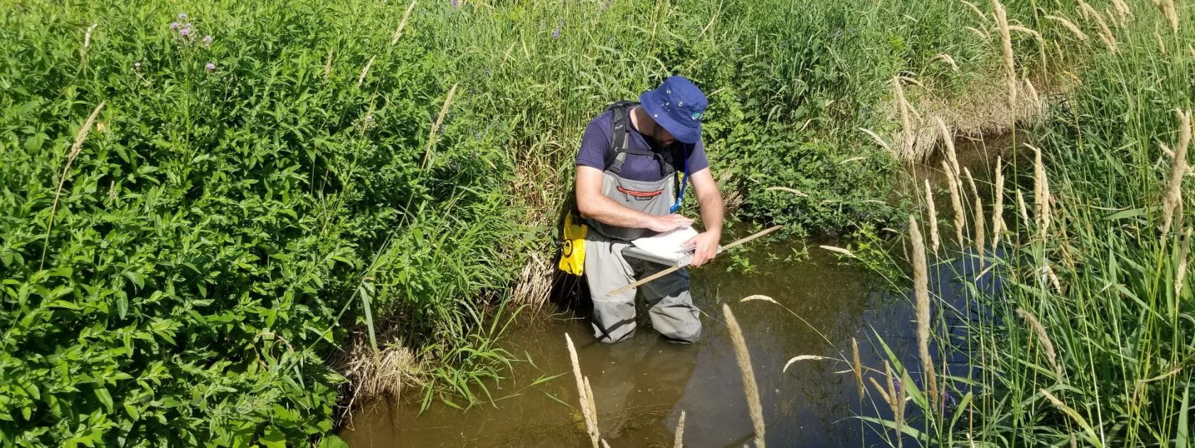 Student taking water samples in wetland
